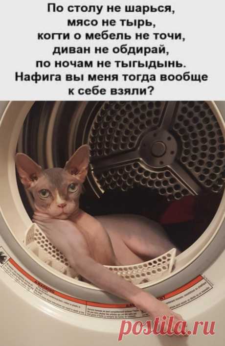 ггг