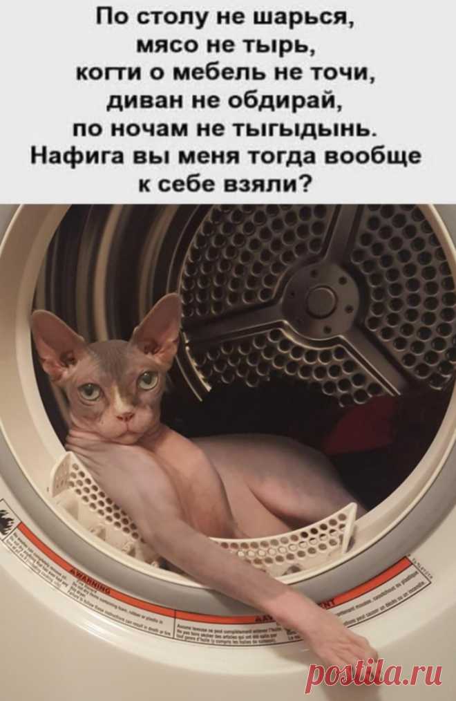 ггг