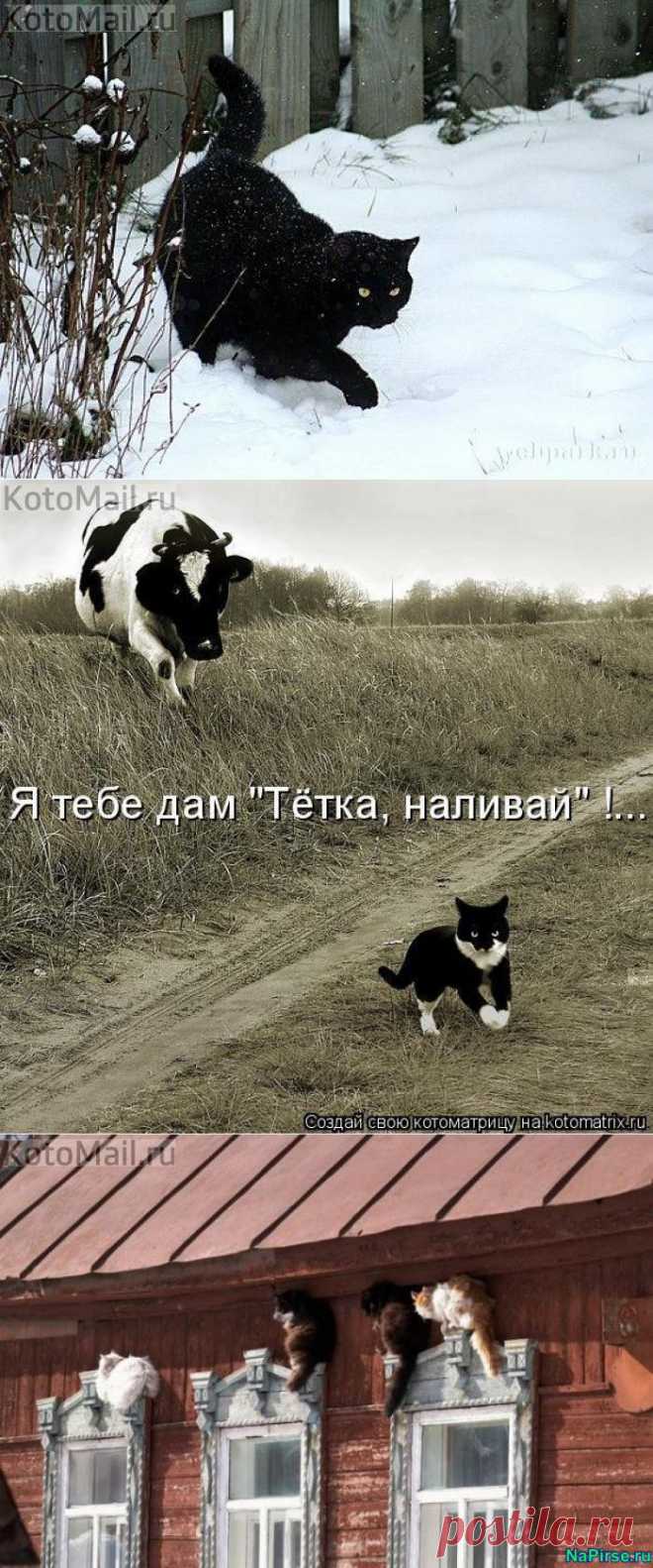 Скучно у нас на деревне!