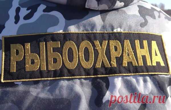 О запрете ловли в нерестовый период и о ловле хариуса на Урале | Блоги о даче и огороде, рецептах, красоте и правильном питании, рыбалке, ремонте и интерьере