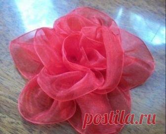 Нежнейший цветок из органзы — Делаем руками