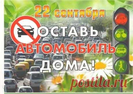 С праздником — Днём без автомобиля!  Желаю, чтобы пешие дороги дарили бодрость, ясные мысли и лёгкость, а забота о планете наполняла гордостью и радостью.