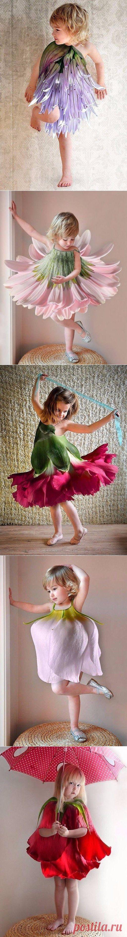 (67) Одноклассники