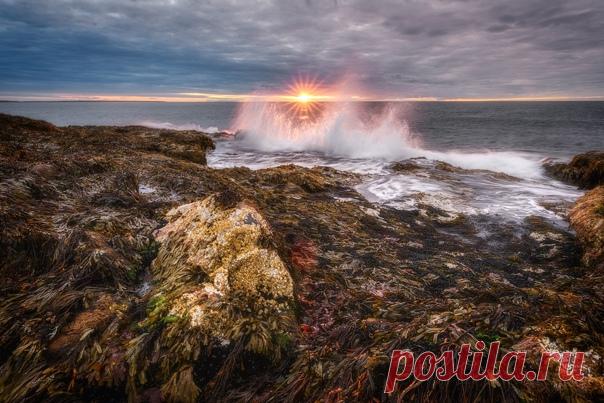 Закат над Баренцевым морем, полуостров Средний. Снимал Андрей Баскевич: nat-geo.ru/community/user/203988