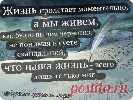 Молчание молчанию рознь: одни молчат от непонимания, другие – слишком хорошо все понимают, и потому молчат.
