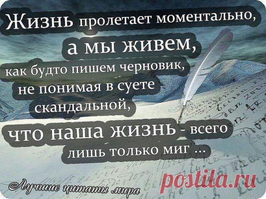 Молчание молчанию рознь: одни молчат от непонимания, другие – слишком хорошо все понимают, и потому молчат.
