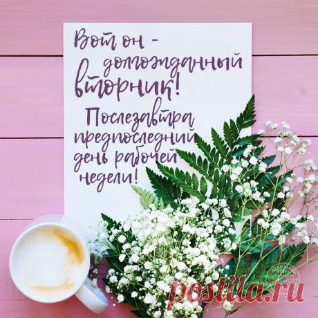 Картинки про вторник (35 фото) ⭐ Забавник