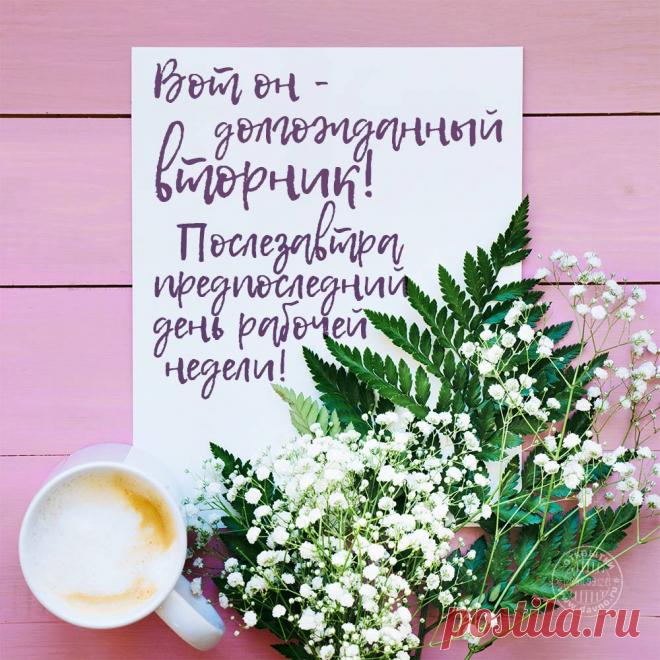 Картинки про вторник (35 фото) ⭐ Забавник