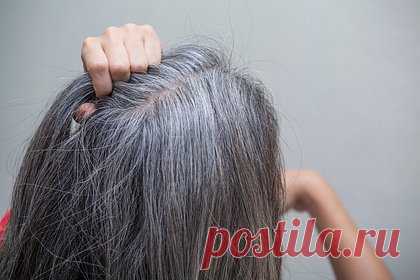 Стилист назвала главную ошибку при окрашивании седых волос. Стилист Памела Моррисси и владелица салона красоты Cork в Ирландии назвала главную ошибку при окрашивании седых волос. Так, эксперт рассказала, что многие люди окрашивают седые волосы в светлые оттенки. По ее словам, перекрашиваться в блонд — это не выход, поскольку подобные цвета сильно старят.