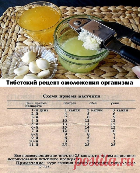 (2) Одноклассники