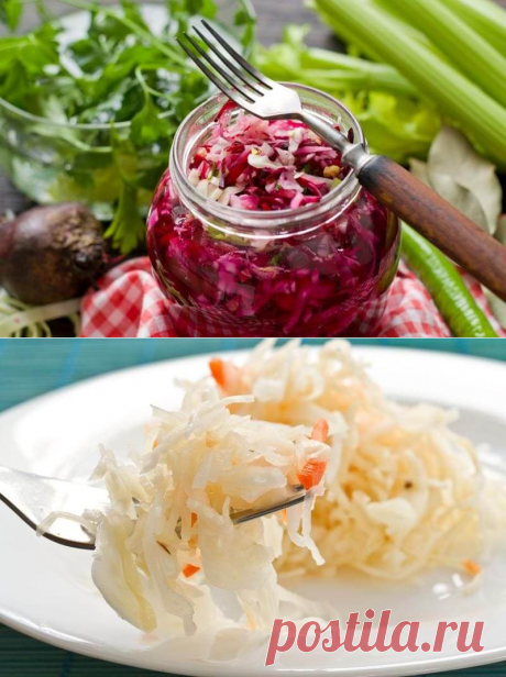 3 лучших домашних ферментированных продукта для кишечника