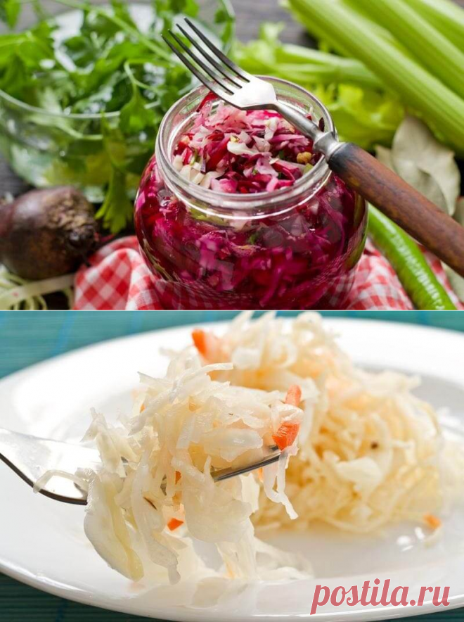 3 лучших домашних ферментированных продукта для кишечника
