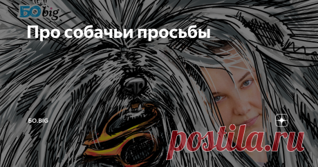 Про собачьи просьбы Статья автора «БО.big» в Дзене ✍: ВОПРОС: Услышала в одном из ваших вебинаров о том, что собаку можно научить просить что-то конкретное. Ну воды там попить или на улицу сходить покакоть.