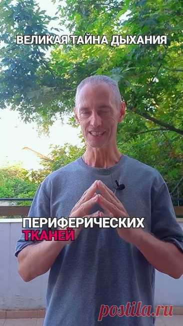 👉 ссылка на видео с Техникой Дыхания Долгожителей 🔗 в описании канала ⇡ #дыхание #исцеляющеедыхание #дыханиедолгожителейМеня зовут Андрей Кузин. Я инструкт...