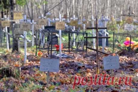 3-11-24-- Тайное ДЕТ.КЛАДБИЩЕ обнаружили в ПОДМОСКОВЬЕ. Едва заметные, занесенные опавшей листвой холмики, квадратные таблички со стершимися надписями, сгнившие игрушки. Корреспонденты aif.ru побывали на погосте, где хоронят воспитанников детского дома в поселке УВАРОВКА..