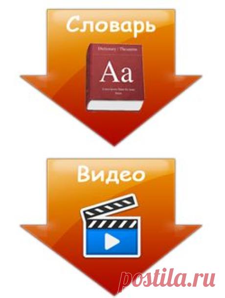 Человек на английском языке. Части тела на английском. Man in the English language.