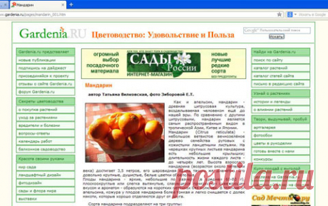 Это не вопрос, а в помощь тем, кто решил сделать свой первый пост