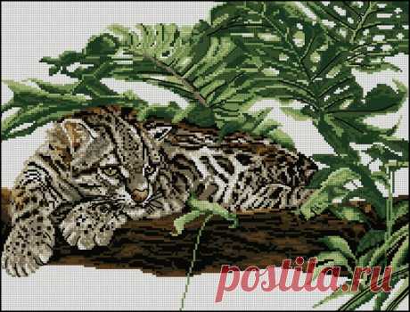 Схема для вышивки леопарда. Схемы для вышивки диких животных | Домоводство для всей семьи.