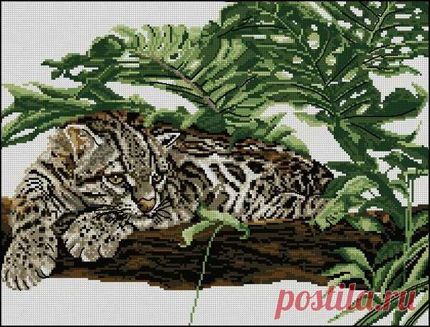 Схема для вышивки леопарда. Схемы для вышивки диких животных | Домоводство для всей семьи.
