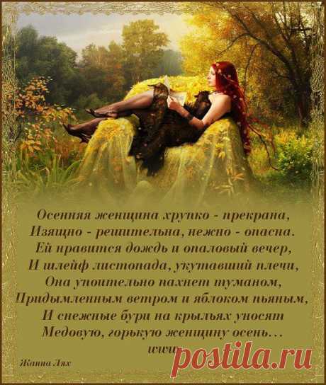 (50) Одноклассники