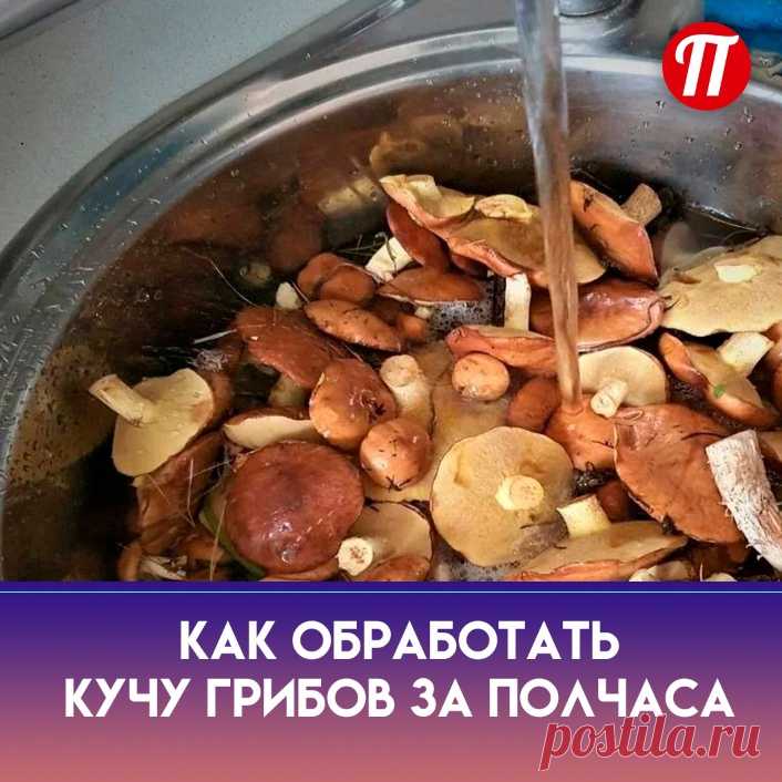 Слизь? Ее легко снять, не удаляя пленку. После замачивания в воде с солью
подсаживаетесь поближе к тазу с грибами, берете губку с мягкой теркой (она у края
мойки на первом фото), которая, я уверена, есть у каждого дома для мытья посуды,
и легкими движениями стираете со шляпки весь мусор. Только сильно не давите, а
то испортите товарный вид. Но это еще не все.
Обработанные губкой грибы загружаете в кастрюлю и заливаете чистой водой,
которую ставите на огонь. За маслятами нужно следить,