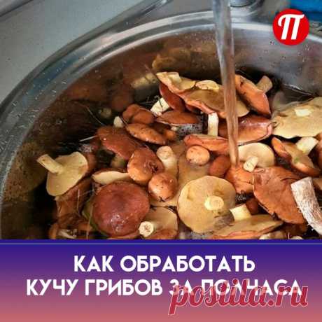 Слизь? Ее легко снять, не удаляя пленку. После замачивания в воде с солью
подсаживаетесь поближе к тазу с грибами, берете губку с мягкой теркой (она у края
мойки на первом фото), которая, я уверена, есть у каждого дома для мытья посуды,
и легкими движениями стираете со шляпки весь мусор. Только сильно не давите, а
то испортите товарный вид. Но это еще не все.
Обработанные губкой грибы загружаете в кастрюлю и заливаете чистой водой,
которую ставите на огонь. За маслятами нужно следить,