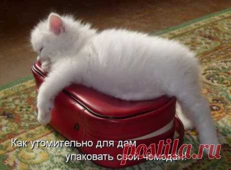 Одноклассники