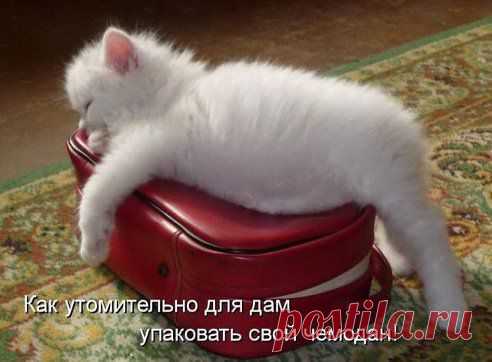 Одноклассники