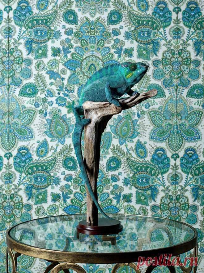 17 самых креативных фото животных в 2021 году: они вас порадуют и удивят | Российское фото | Яндекс Дзен