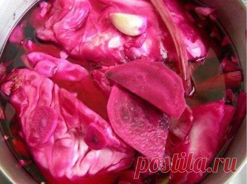 Капуста со свёклой | Давай поговорим
