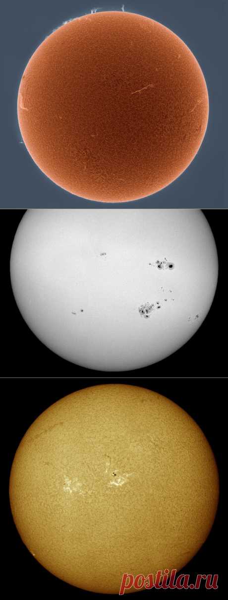Алан Фридман. Необычные фотографии Солнца : НОВОСТИ В ФОТОГРАФИЯХ