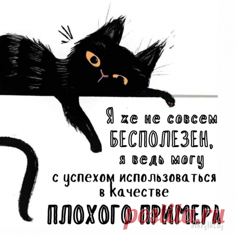 55+ креативных картинок с надписями о себе с юмором и сарказмом