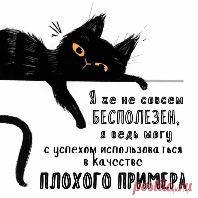 55+ креативных картинок с надписями о себе с юмором и сарказмом