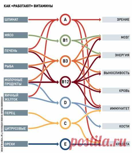 Физиология организма человека страница №21