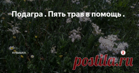 Подагра . Пять трав в помощь . Подагра. Воспаление суставов вследствие отложения кристаллов уратных солей, возникающих из-за нарушения обмена белка и мочевой кислоты. Подагра развивается постепенно, а вот приступ чаще всего бывает неожиданным. Нельзя путать симптомы подагрических суставных заболеваний с ревматическими. Лечение этих заболеваний отличается друг от друга. Поэтому не стоит заниматься само диагностированием, а лучше