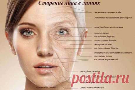 Как вернуть идеальный овал лица: 3 упражнения
В этой статье отражен опыт автора статьи и составителя методики коррекции овала лица. Эта простая методика нацелена на формирования «поплывшего» овала лица, что, собственно, в первую очередь становится заметным при первых же признаках старения лица. Здесь собраны действенные и безопасные упражнения для восстановления формы лица. Наши возрастные изменения так сильно бросаются в глаза не столько […]
Читай пост далее на сайте. Жми ⏫ссылку выше