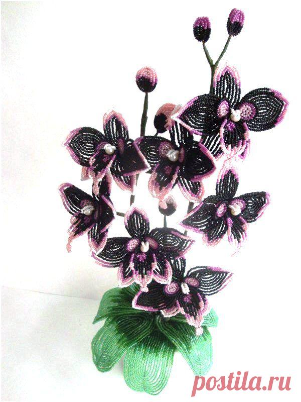 Орхидея "Аристократка" | biser.info - всё о бисере и бисерном творчестве