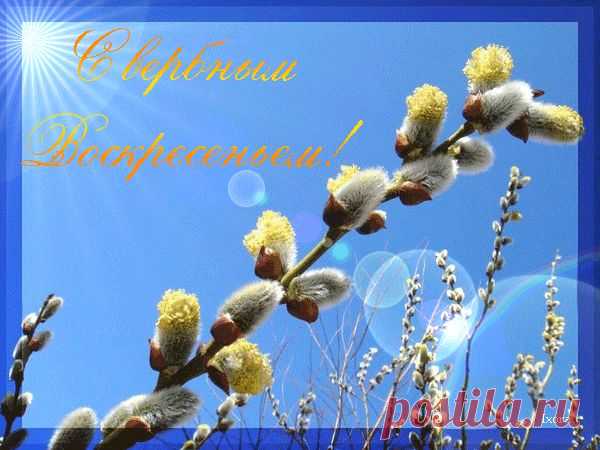 Google+