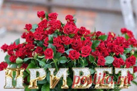 Не сумел дойти — оставайся здесь; не успел найти —так цени, что есть;
Вышел из себя — не сжигай мосты;
как не усложняй — истины просты; Зная наперёд — осторожным будь; подводя черту —худшее забудь;
Перестал мечтать — так, катись ко дну; начал обвинять — докажи вину; Если полюбил — душу поцелуй; если отпустил — то не претендуй; Хочешь изменить — начинай с себя; выбирает путь —каждый для себя.