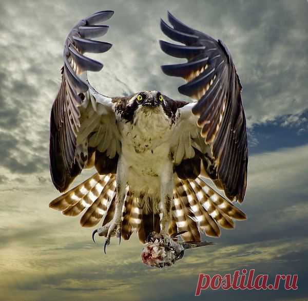 Интересные новости