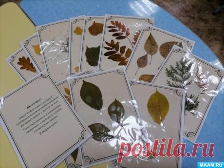 Фотоотчет «Собираем и делаем гербарий с детьми». Воспитателям детских садов, школьным учителям и педагогам - Маам.ру Просматривайте этот и другие пины на доске Для детского сада пользователя Elena Ch.
Теги
Фотоотчет «Собираем и делаем гербарий с детьми» в младшей группе.
Во второй младшей группе проводится работа по ознакомлению с природой.
Вместе с детьми собираем осенний материал для создания гербария.
Детям всегда нравится собирать и засушивать листья: они не...