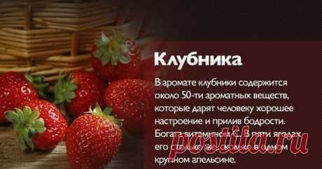 Мой Мир@Mail.Ru