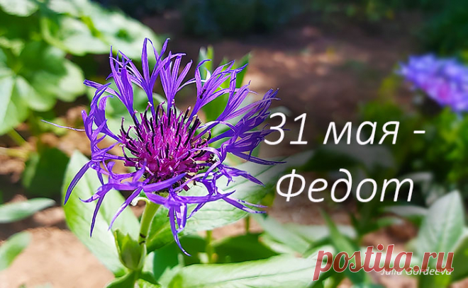 Народные приметы и запреты 31 мая в день Федота, Семи дев Народные приметы и запреты 31 мая в день Федота, Семи дев. Что можно и надо сделать в последний день мая, а что нельзя делать по поверьям и приметам наших предков