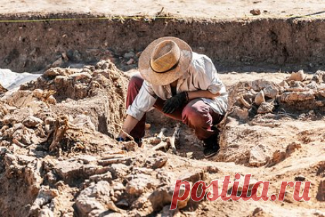 Обнаружены окаменелые останки древних предков современных крокодилов. Палеонтологи из Университета Стоуни Брук (США) обнаружили древние останки предков современных крокодилов. Нового хищника назвали Turnersuchus hingleyae, его окаменелости в виде части головы, позвоночника и конечностей были найдены в пещере в Марокко. Turnersuchus относится к самым ранним талаттозухиям.