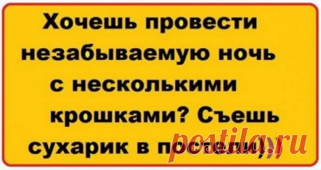 снес конь яйцо...
