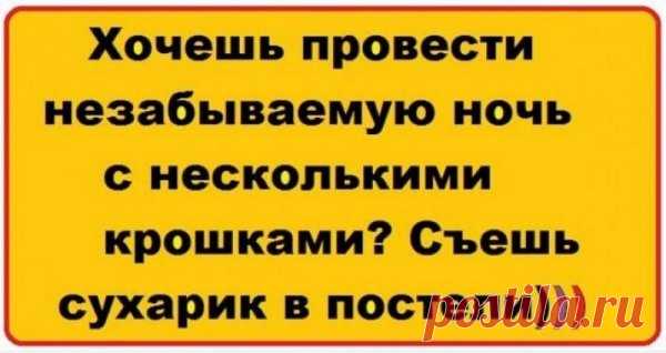 снес конь яйцо...