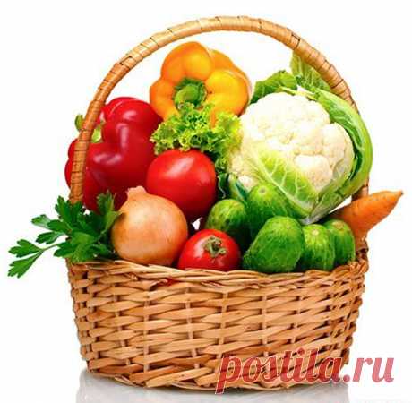 Сад и огород в августе - Экологическое землетворчество | Экологическое землетворчество