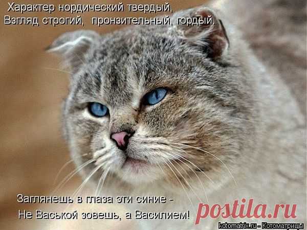 )))