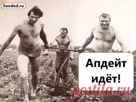 Праздник каждый день: ежедневные апдейты «Яндекса» https://www.seoded.ru/webmaster/kamskaya/upes-every-day.html