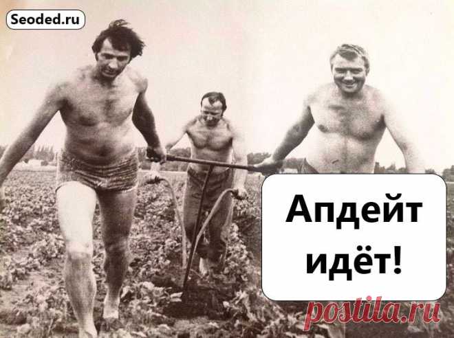 Праздник каждый день: ежедневные апдейты «Яндекса» https://www.seoded.ru/webmaster/kamskaya/upes-every-day.html